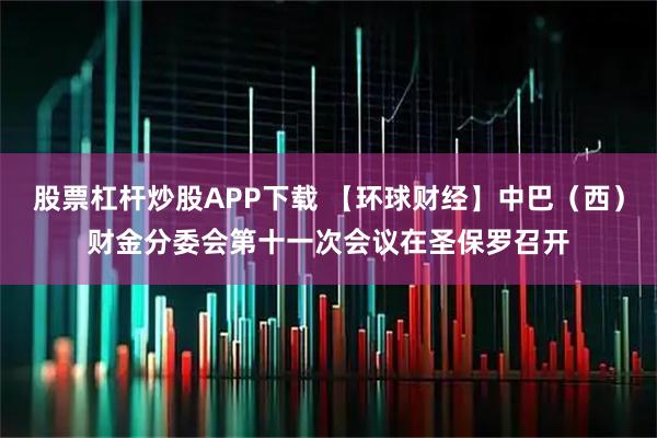 股票杠杆炒股APP下载 【环球财经】中巴（西）财金分委会第十一次会议在圣保罗召开