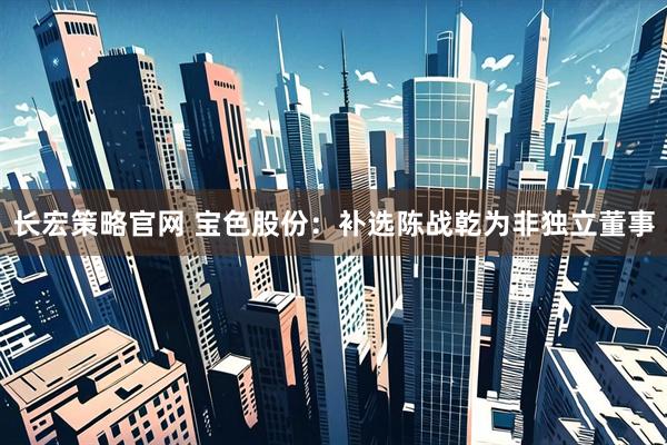 长宏策略官网 宝色股份：补选陈战乾为非独立董事