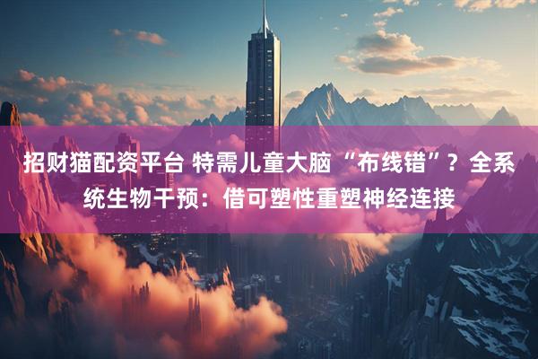 招财猫配资平台 特需儿童大脑 “布线错”？全系统生物干预：借可塑性重塑神经连接