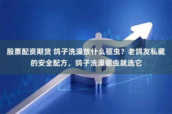 股票配资期货 鸽子洗澡放什么驱虫？老鸽友私藏的安全配方，鸽子洗澡驱虫就选它